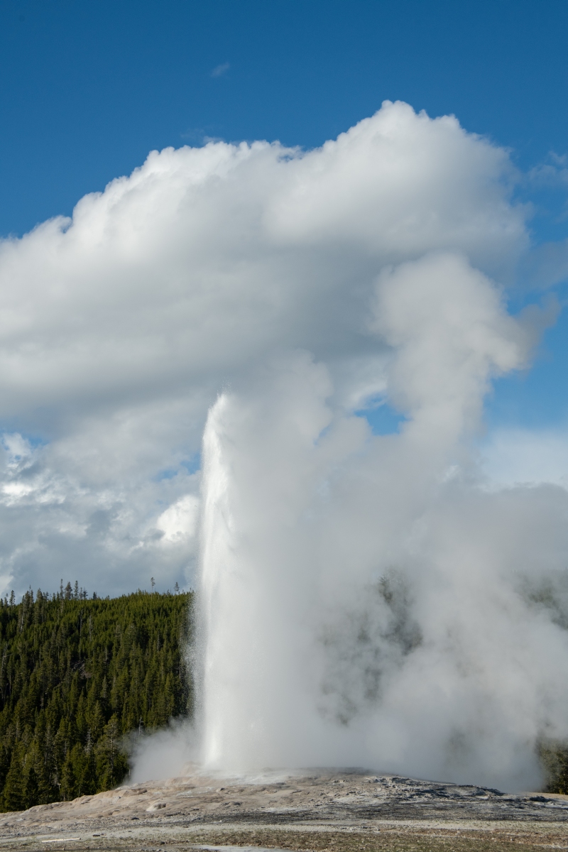 DSC_2020.jpg