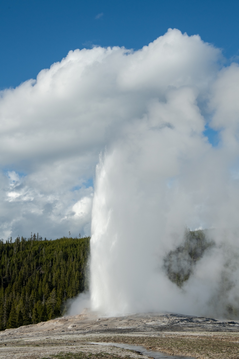 DSC_2023.jpg