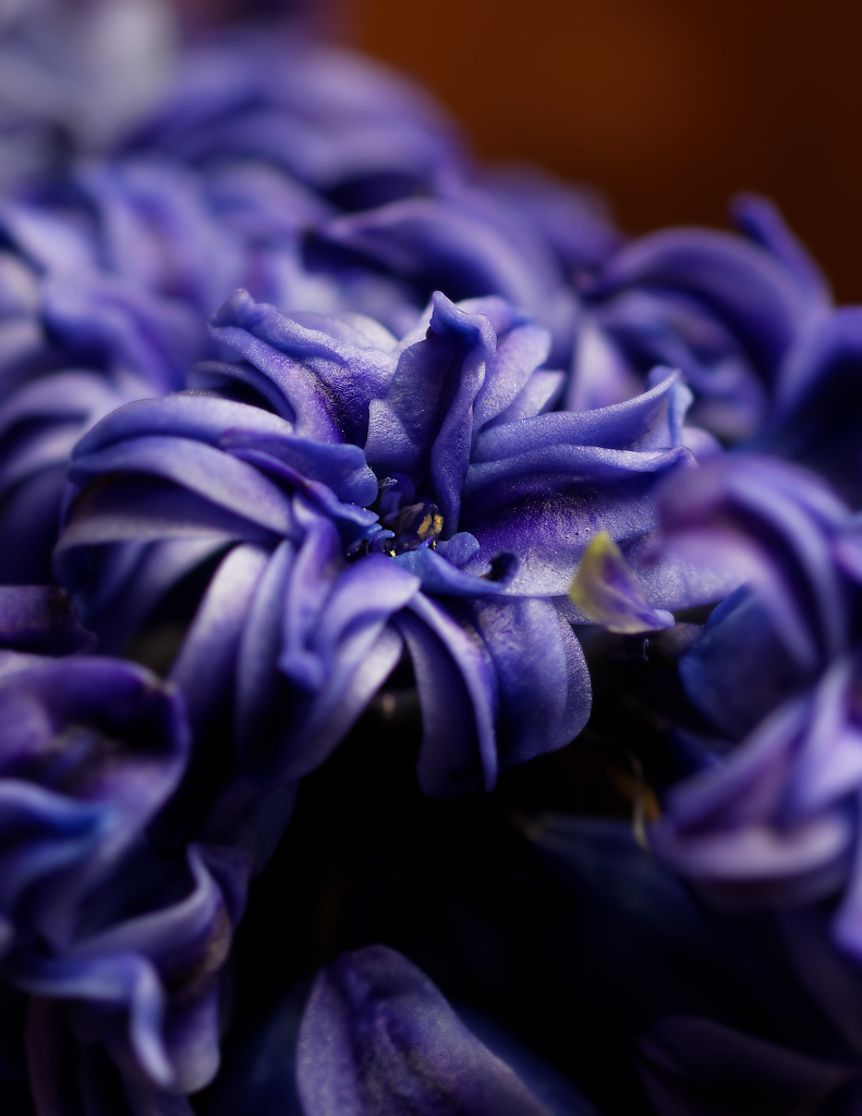 DSC_2024_DxO-1.jpg