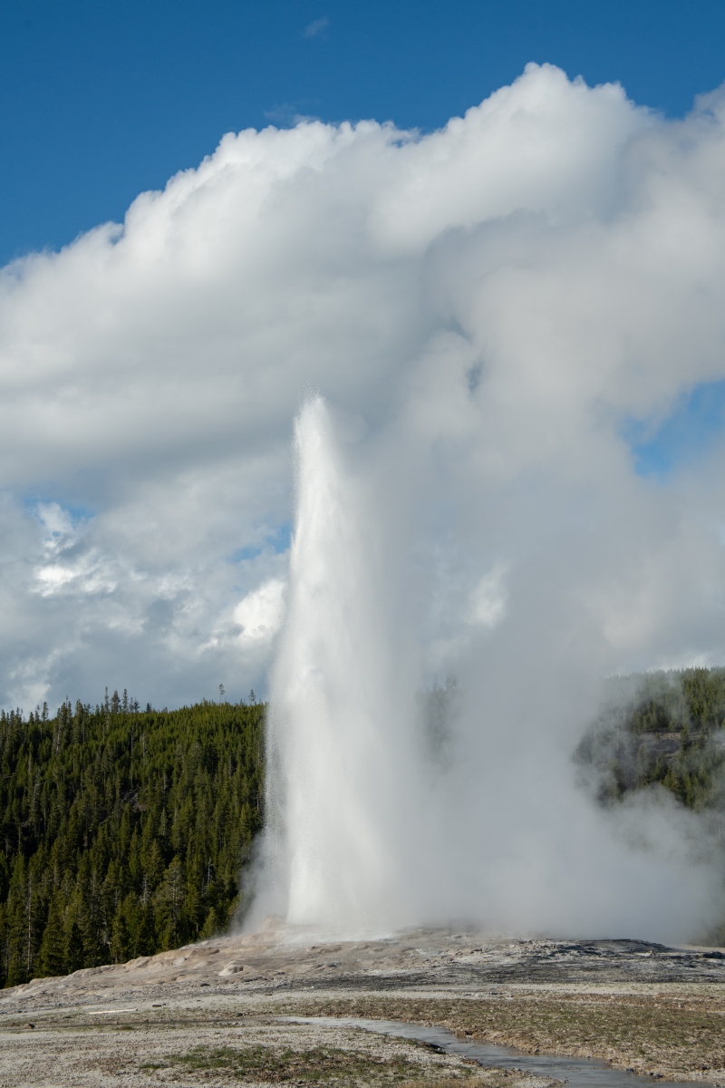 DSC_2027.jpg