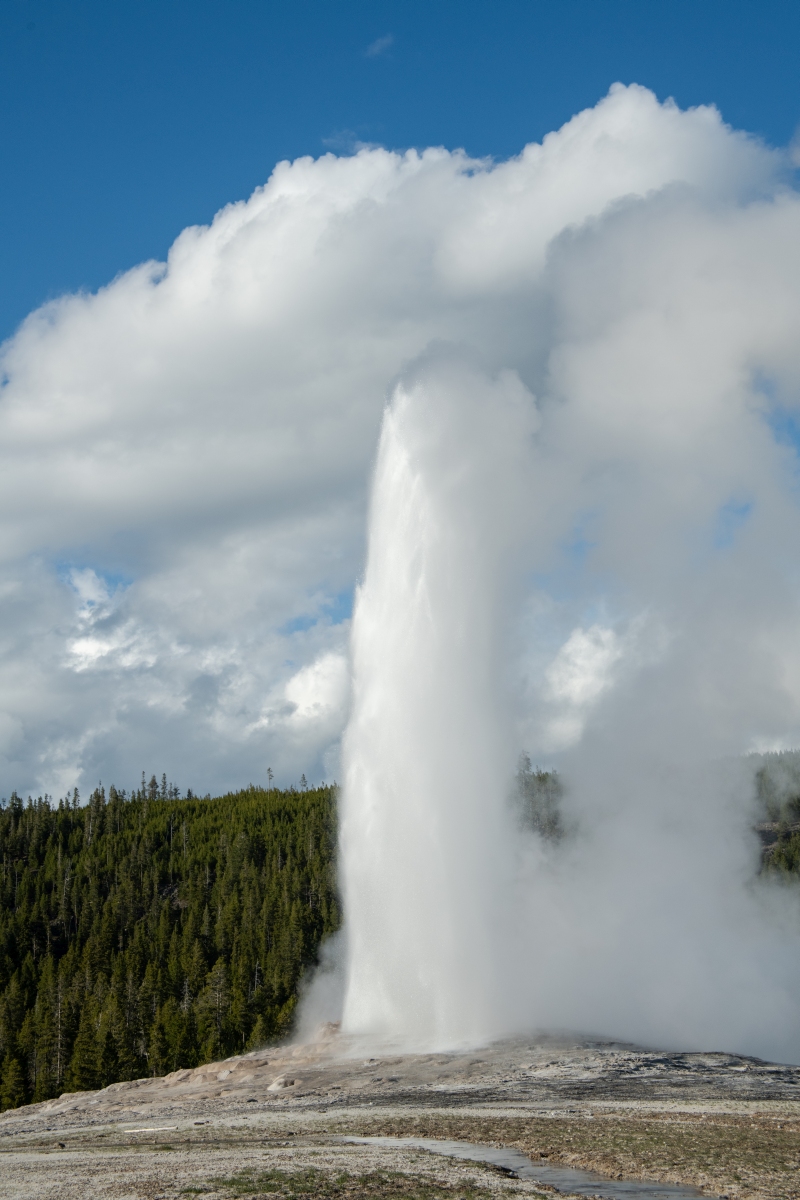 DSC_2029.jpg