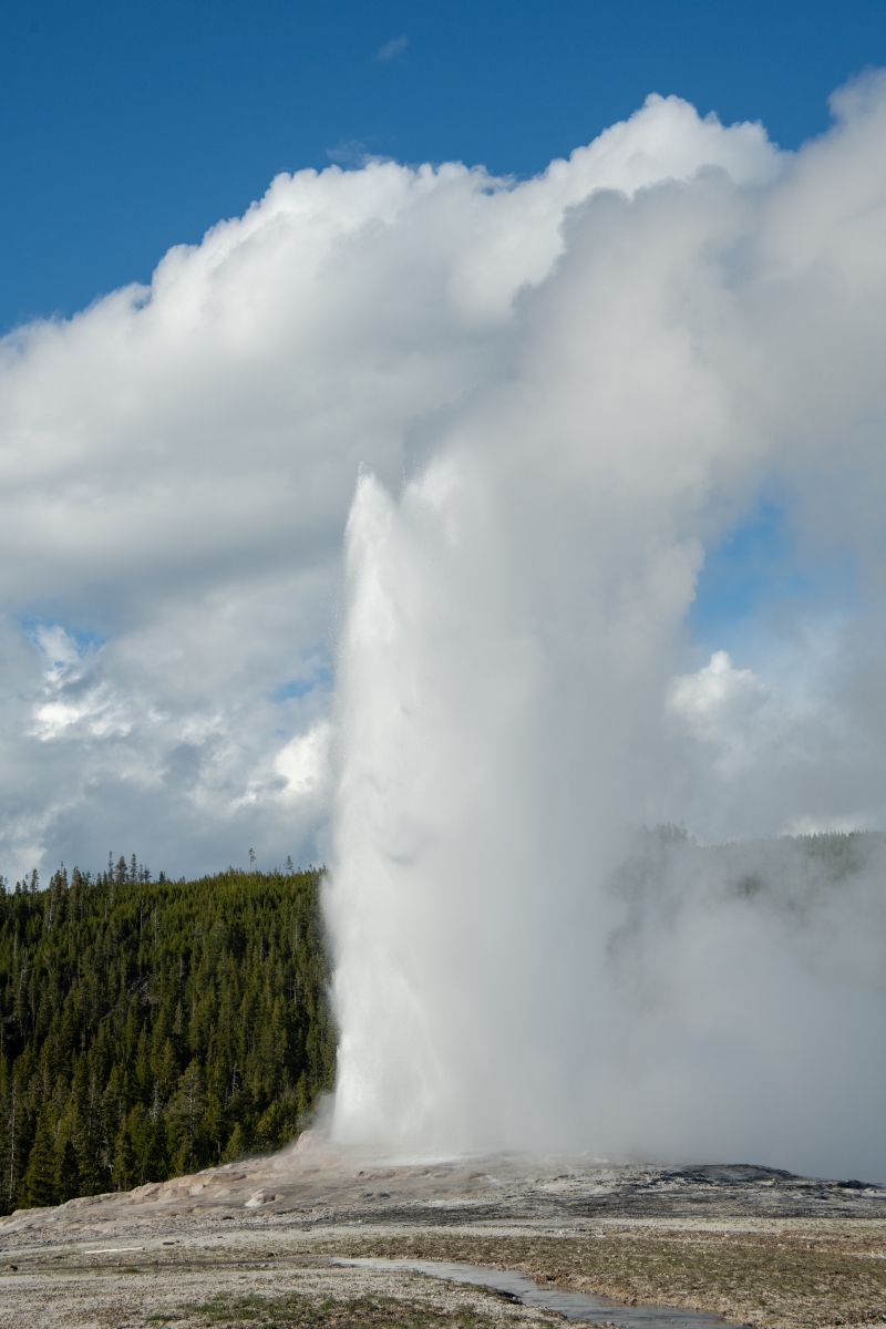 DSC_2032.jpg