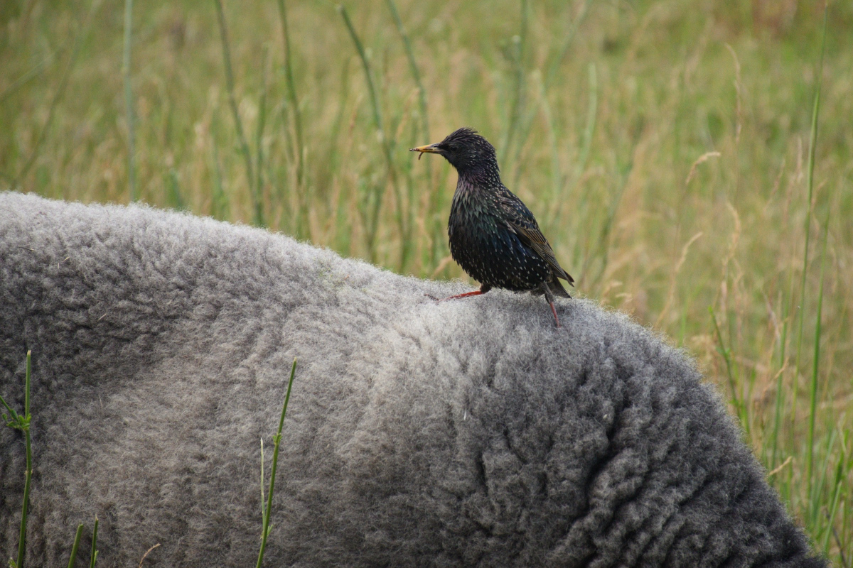 DSC_2032.JPG