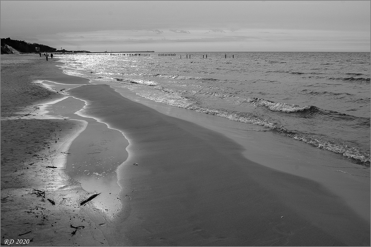 dsc_2033.jpg