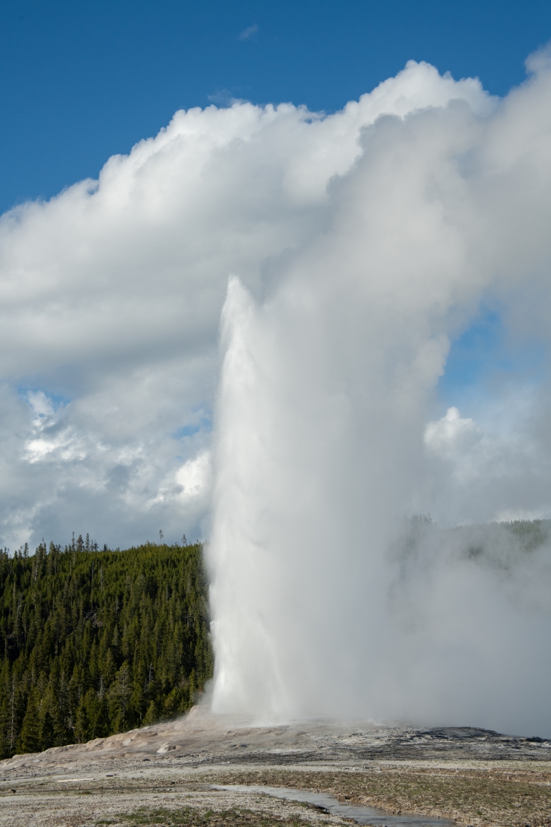 DSC_2033.jpg