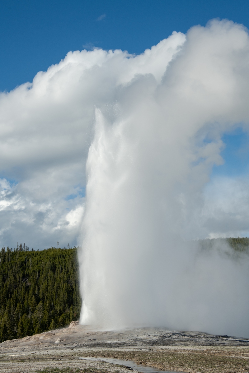 DSC_2035.jpg