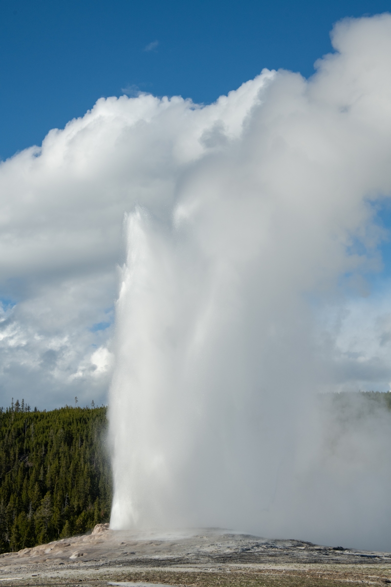 DSC_2036.jpg