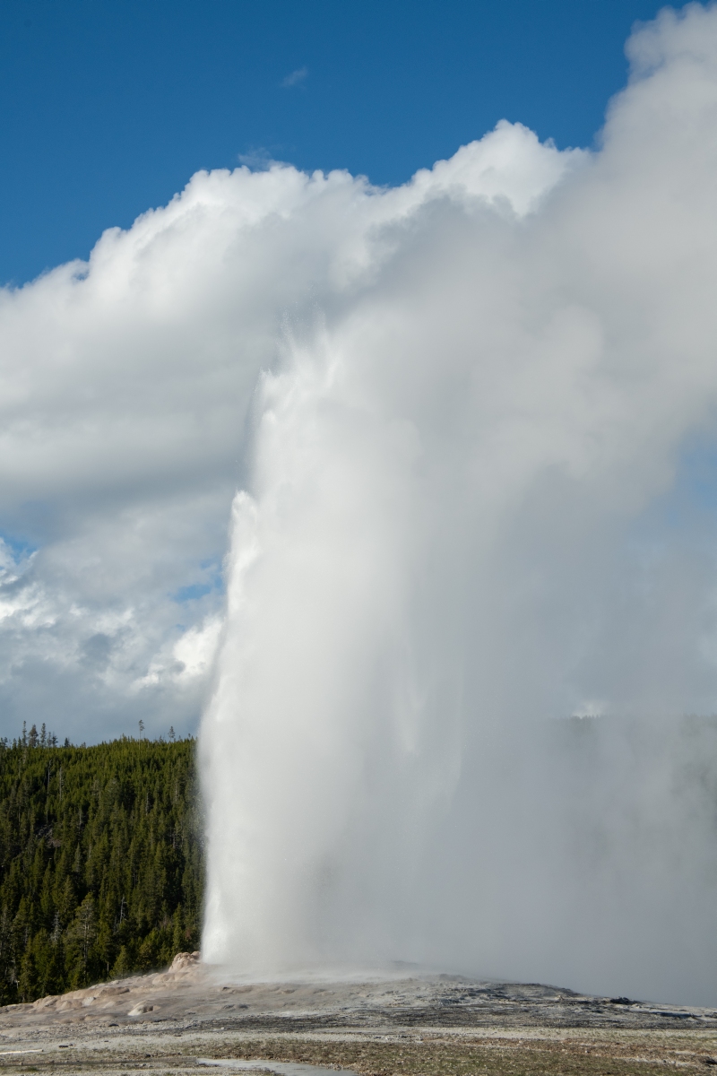 DSC_2040.jpg
