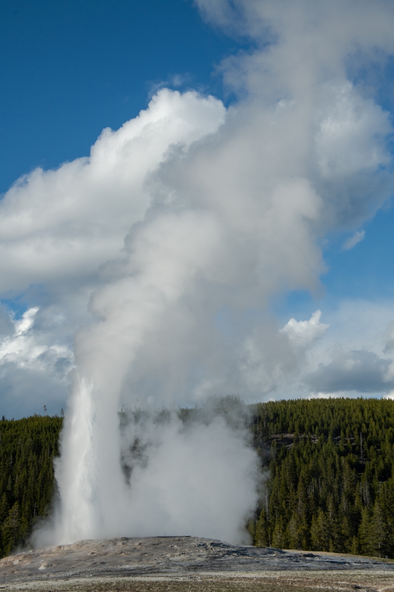 DSC_2042.jpg