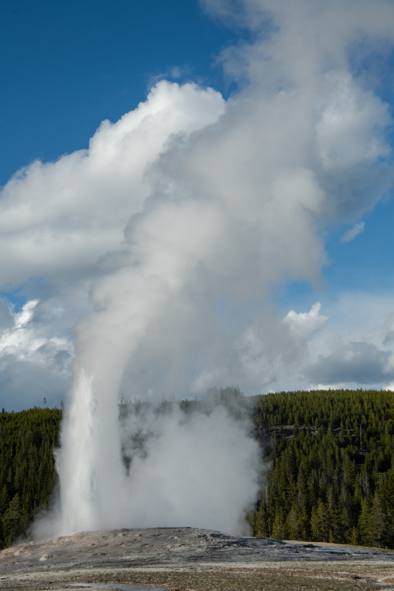 DSC_2043.jpg