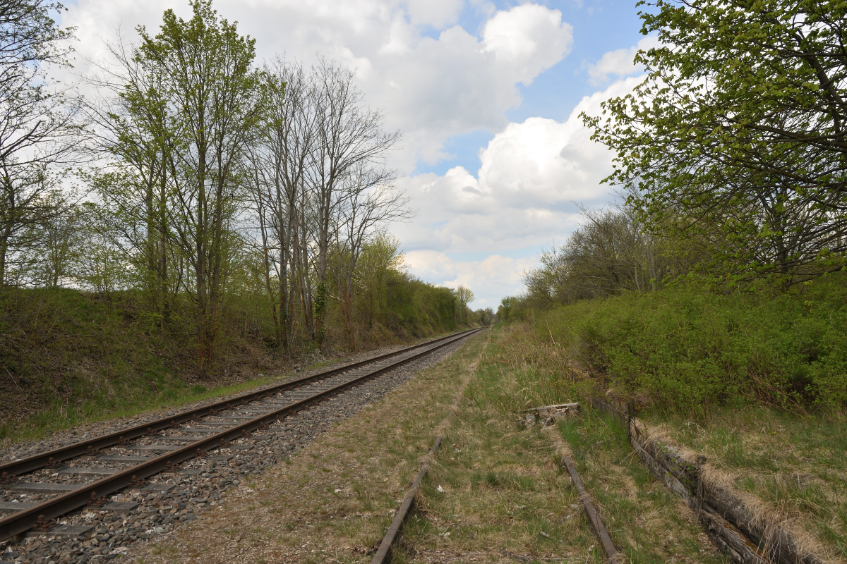 DSC_2044.JPG