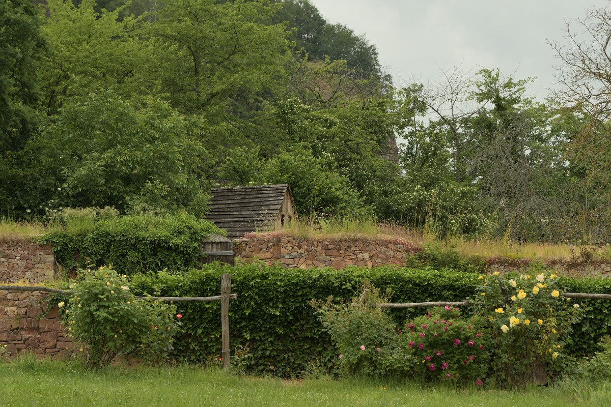 DSC_2056_00001_01n.jpg