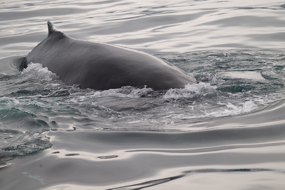 DSC_2058.jpg