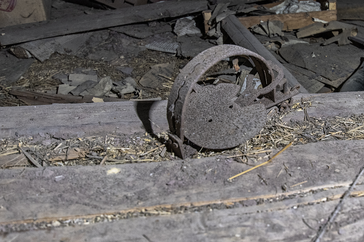 DSC_2071.jpg