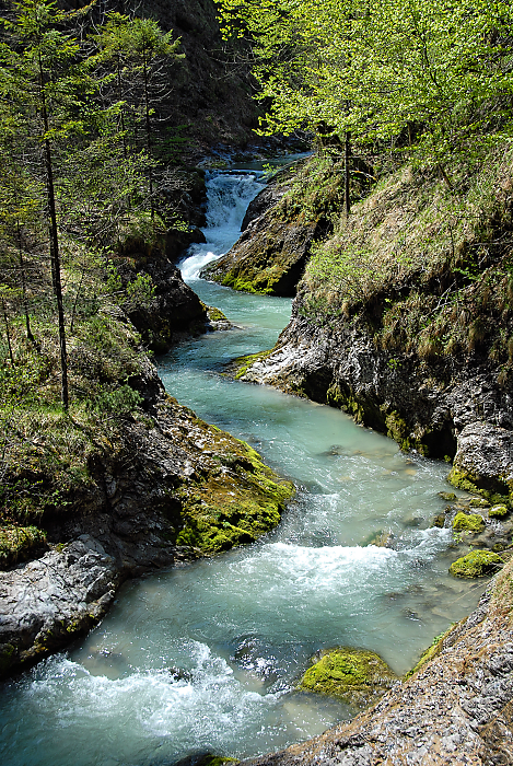 DSC_2072.jpg