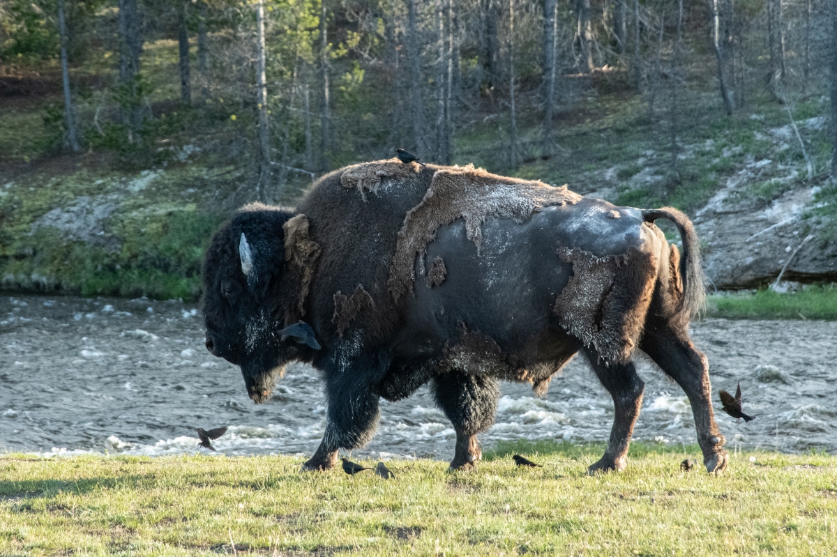 DSC_2076.jpg