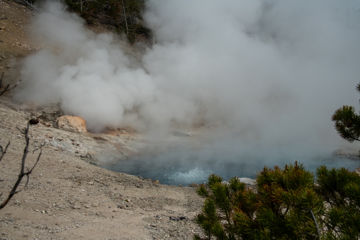 DSC_2082.jpg