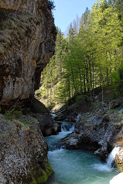 DSC_2086.jpg