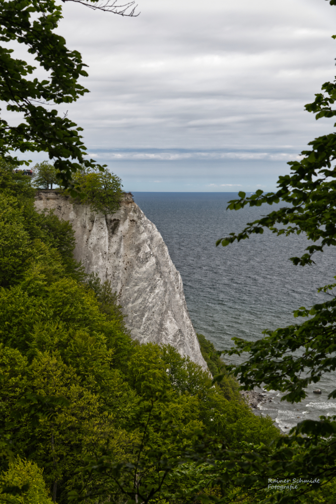 DSC_2087.jpg