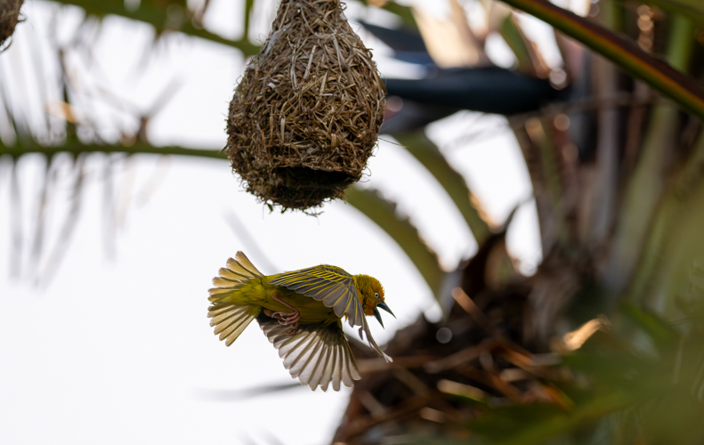 DSC_2104-Verbessert-RR.jpg