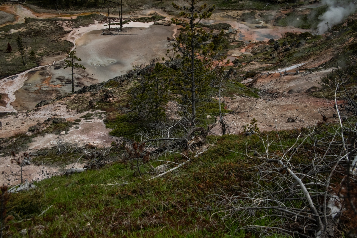 DSC_2108.jpg