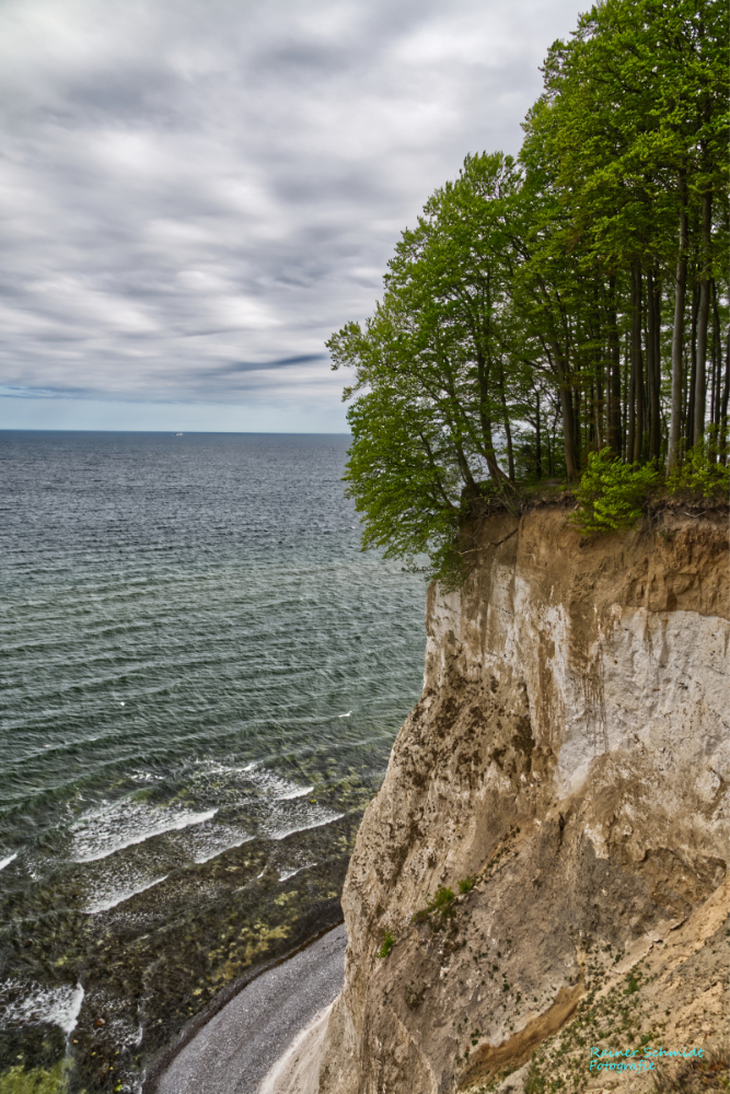 DSC_2113.jpg