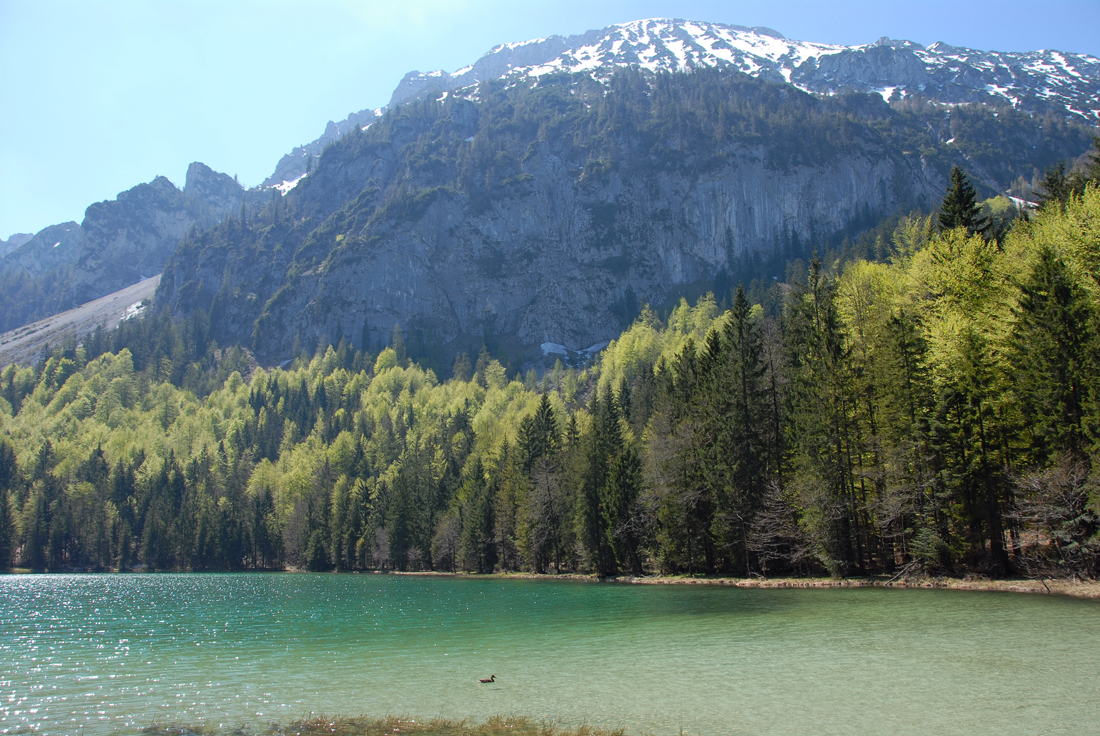 DSC_2120 Frillensee.jpg