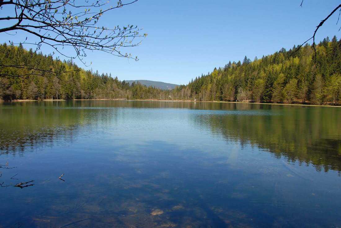 DSC_2122 Frillensee.jpg