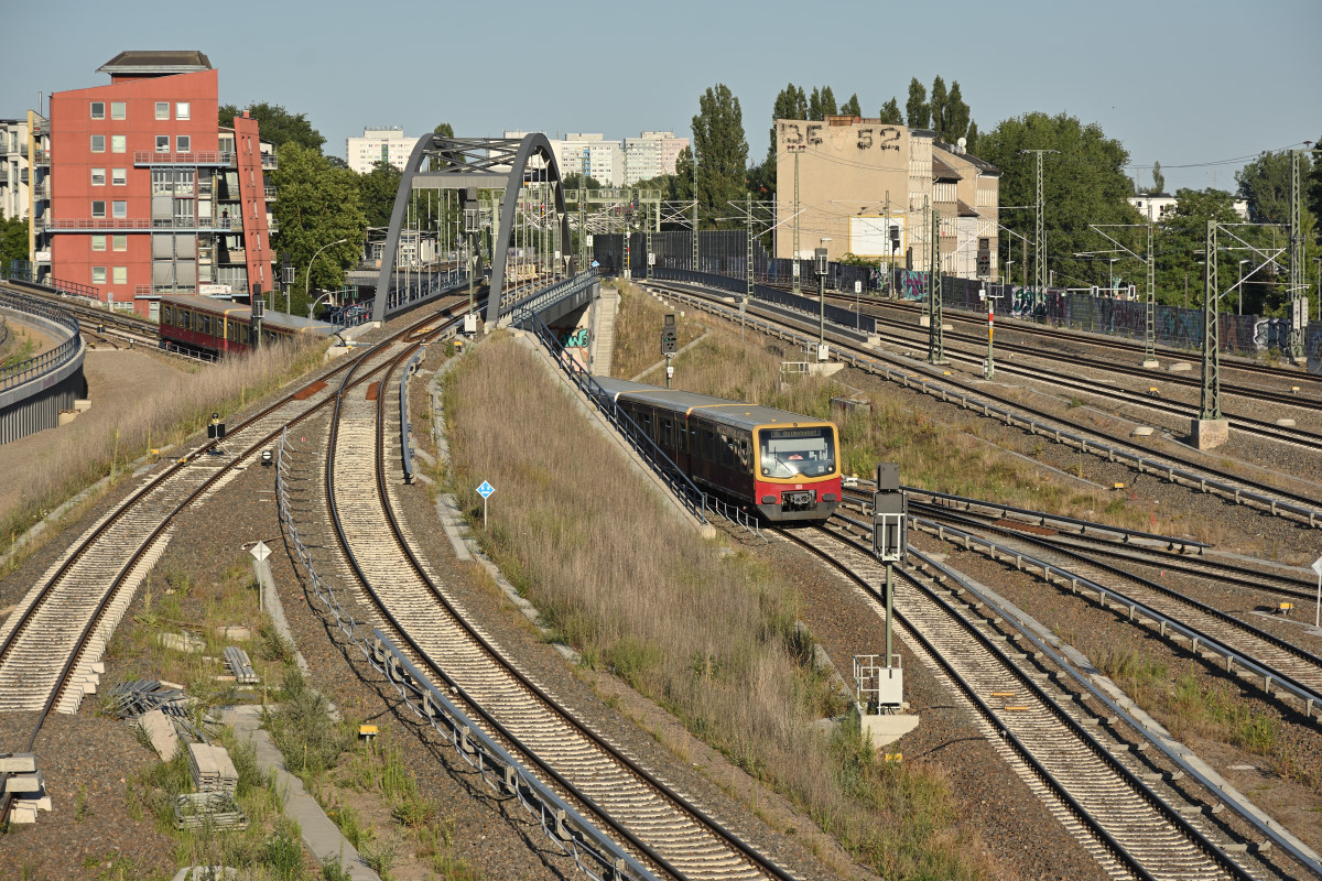 DSC_2126.JPG