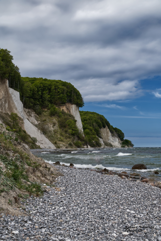 DSC_2131.jpg