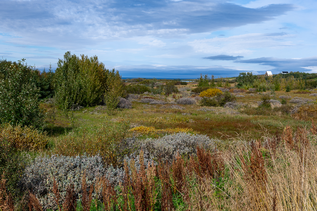 DSC_2178.jpg