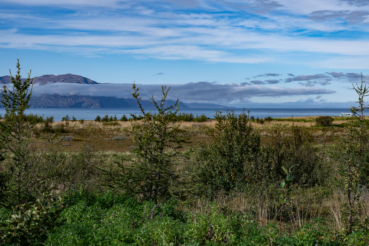 DSC_2179.jpg