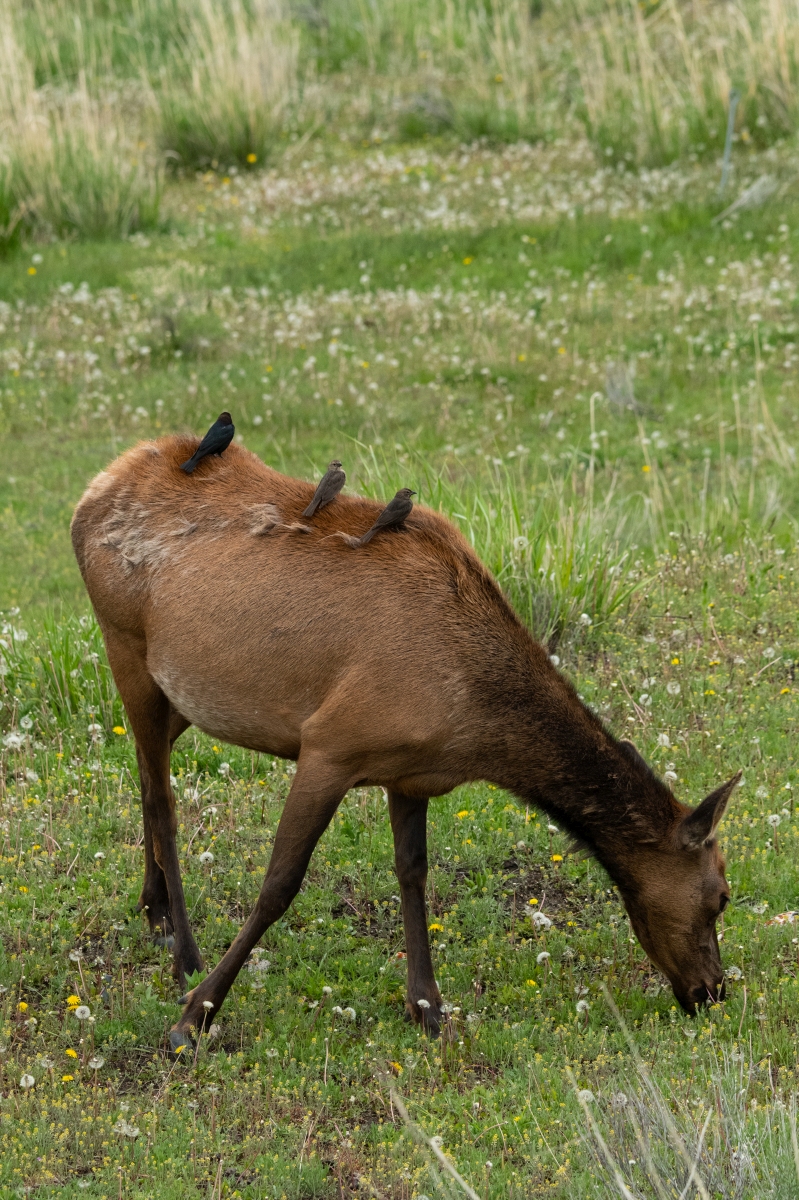 DSC_2196.jpg