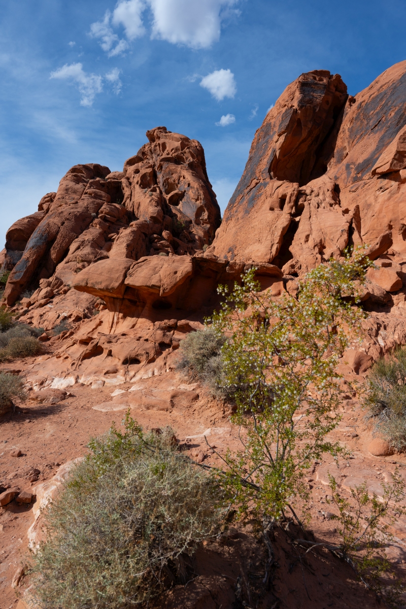 DSC_2196.jpg