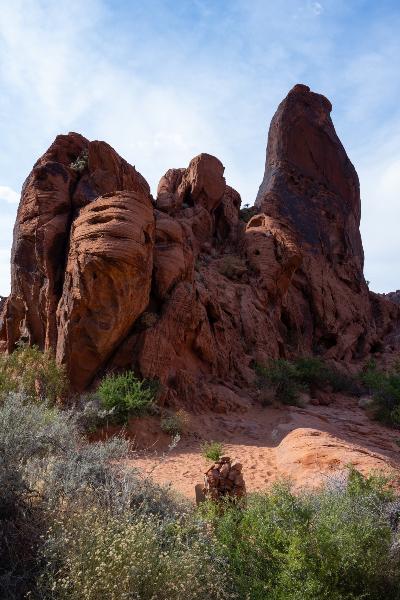 DSC_2213.jpg