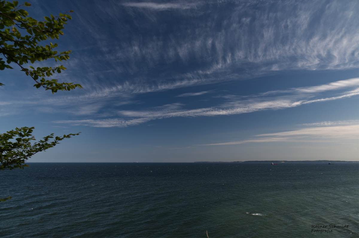 DSC_2214.jpg