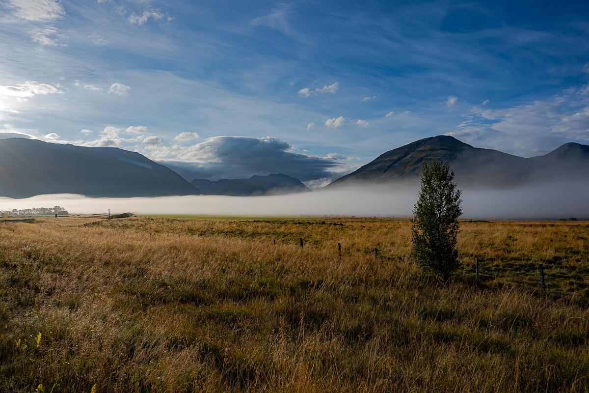 DSC_2215.jpg