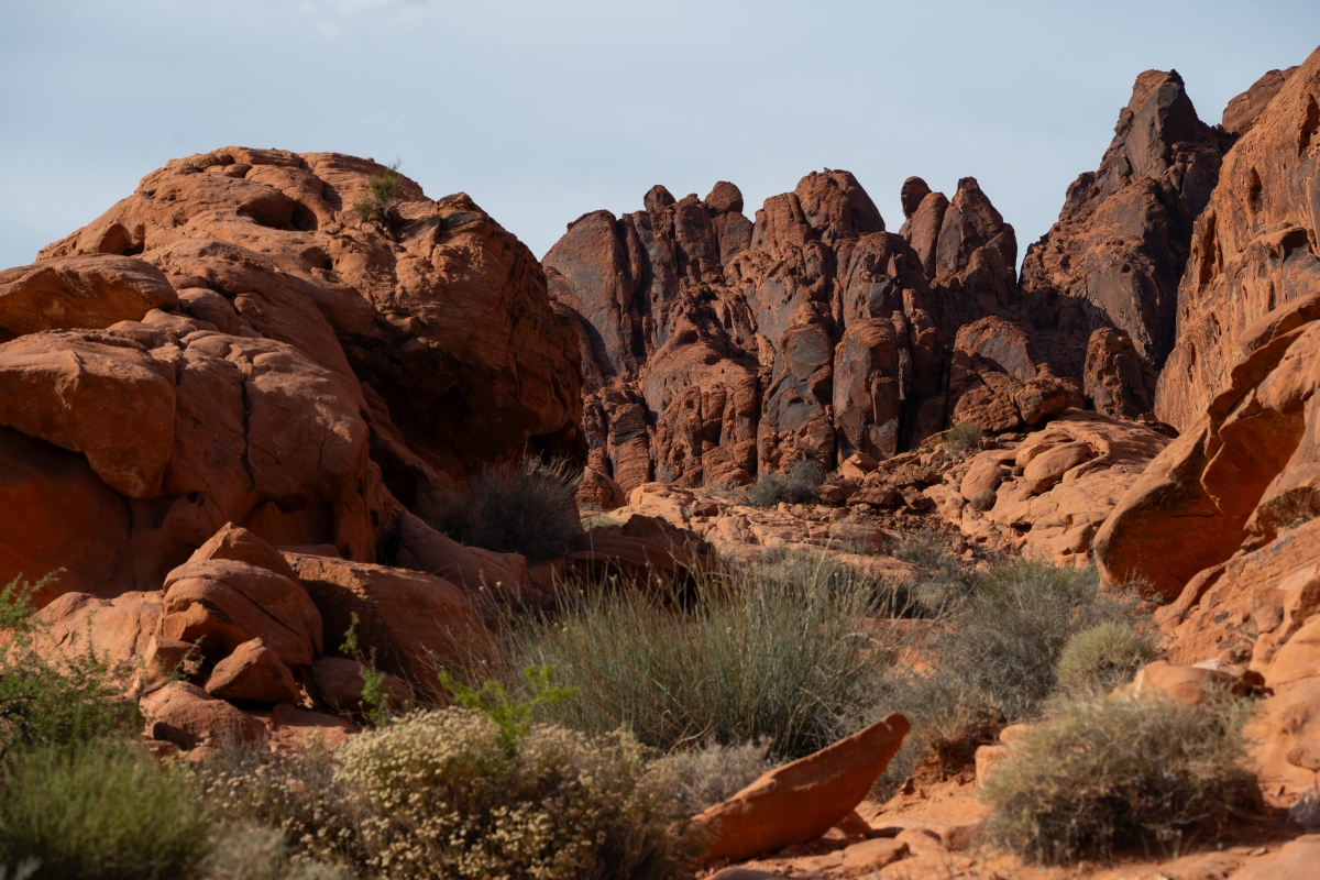 DSC_2217.jpg