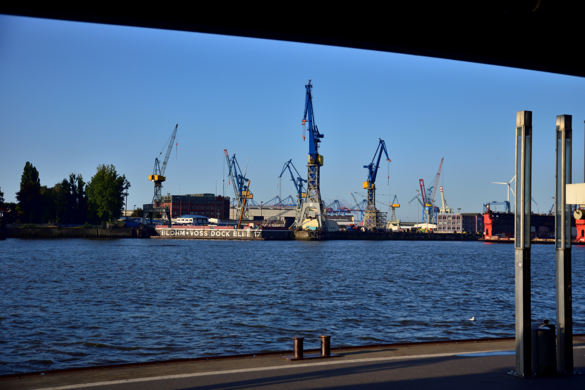 DSC_2219_00001.jpg