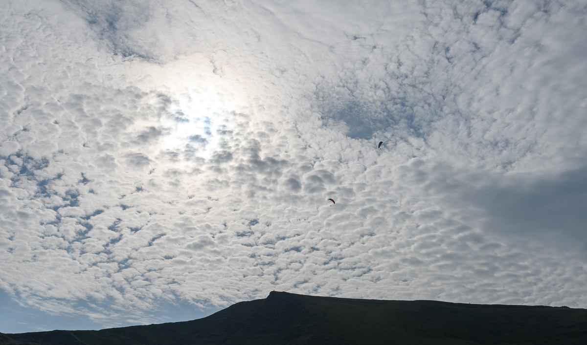 DSC_2232.jpg