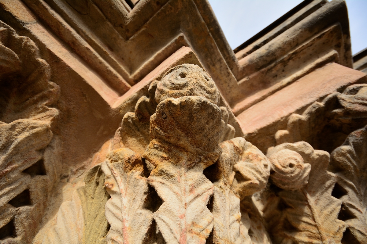 DSC_2237_00025ng.jpg