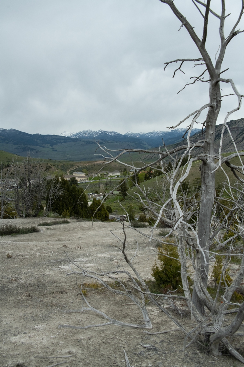 DSC_2243.jpg