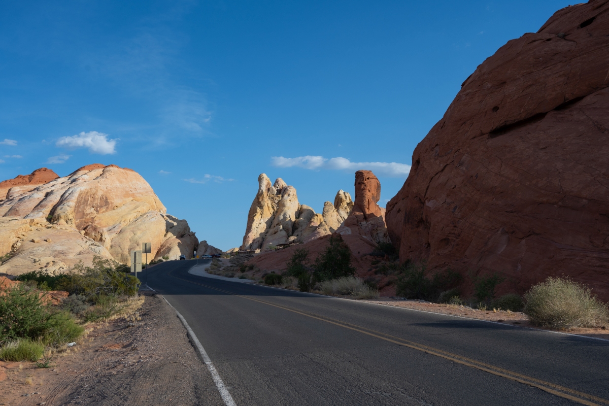 DSC_2254.jpg