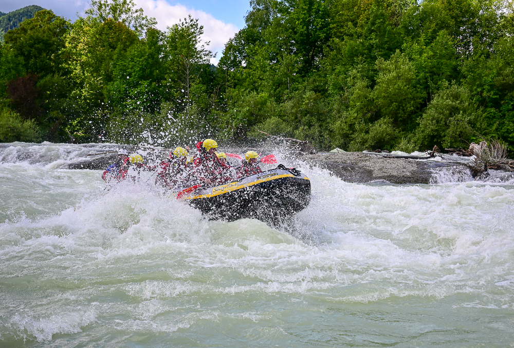 DSC_2262.jpg