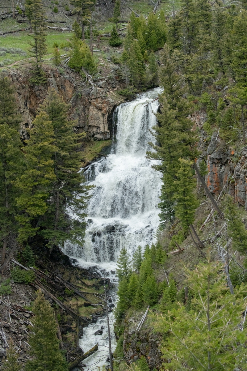 DSC_2265.jpg