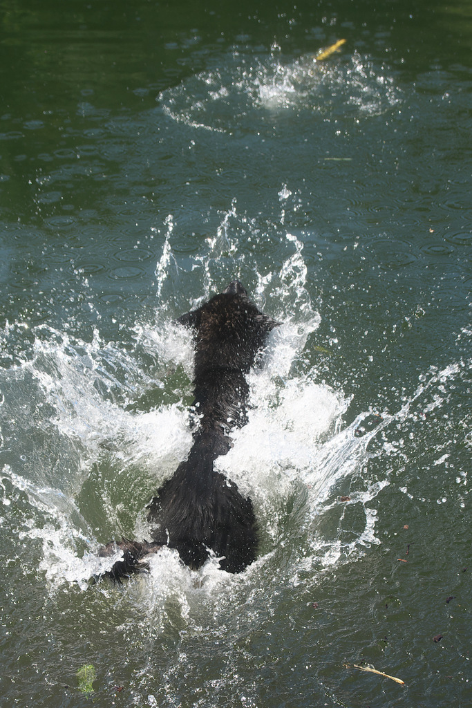 DSC_2277.jpg