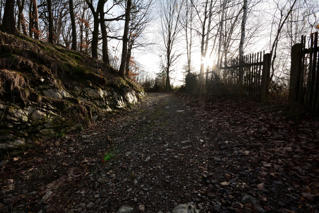 DSC_2278_00051n.jpg