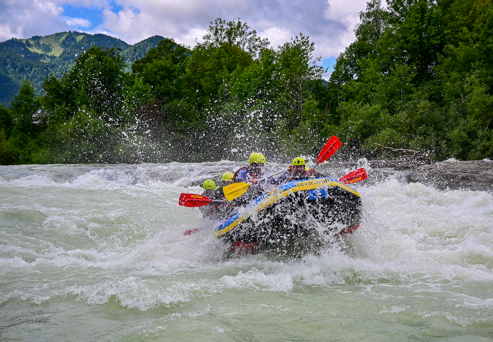 DSC_2281.jpg