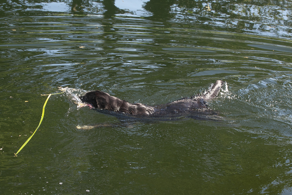 DSC_2292.jpg