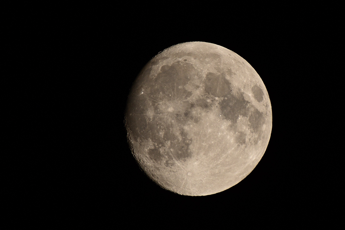 DSC_2307.JPG